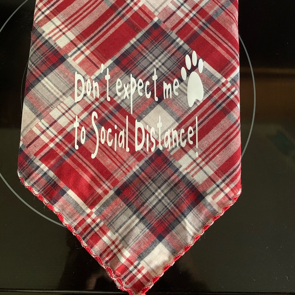 Dog bandana